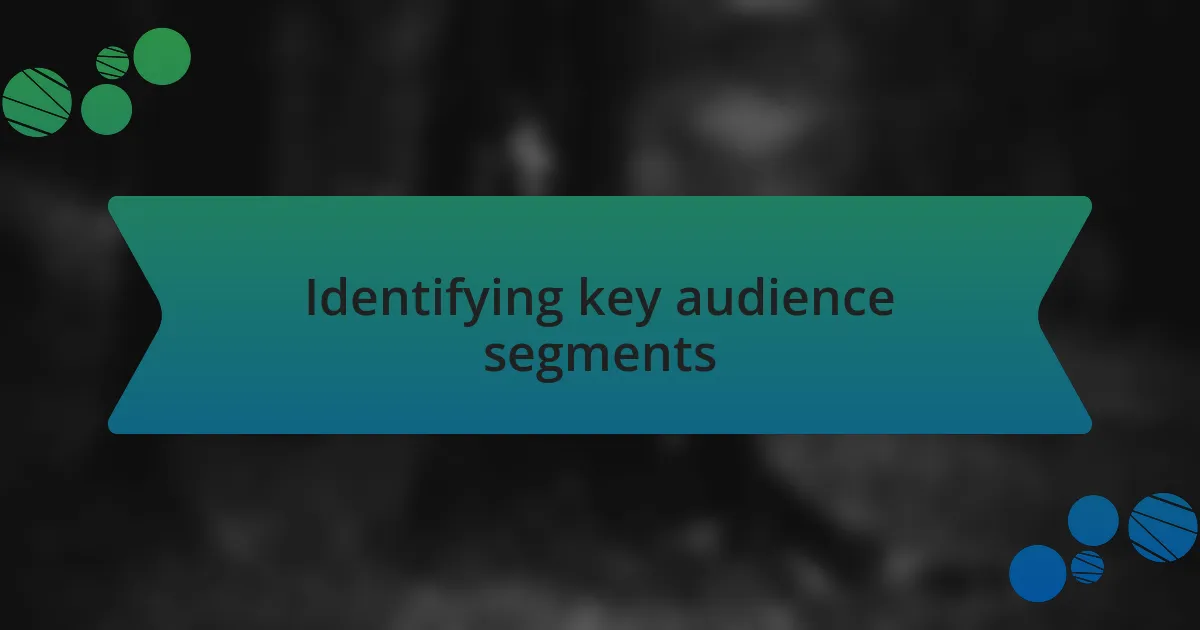 Identifying key audience segments